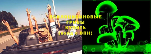 apvp Бородино