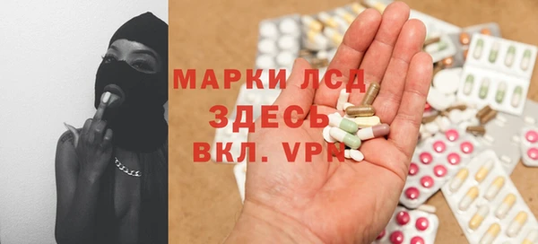 apvp Бородино
