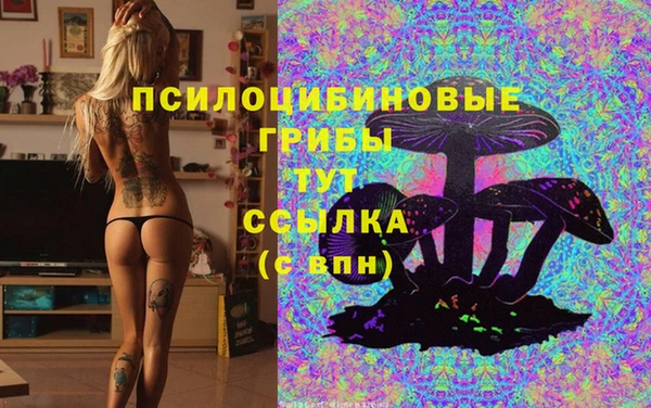 мдпв Бронницы