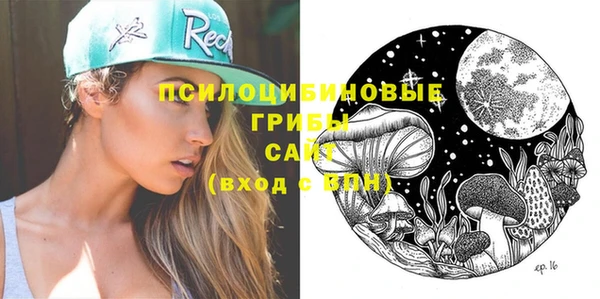 мдпв Бронницы