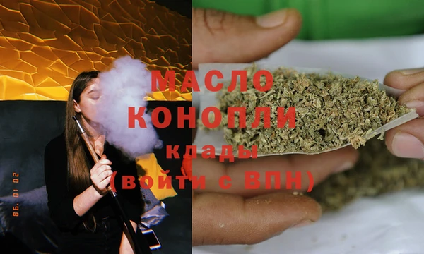 apvp Бородино