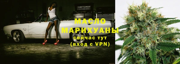 apvp Бородино